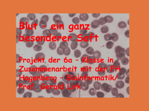 Blutprojekt - Schulen