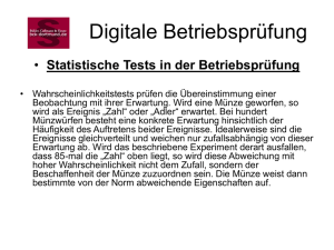 Digitale_Betriebsprüfung_2009
