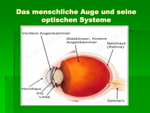 Das menschliche Auge als optisches System