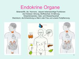 Hormonsystem Der HWS Albstadt