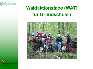 Kein Folientitel - Waldforum Riddagshausen