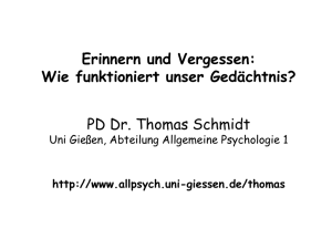 schmidt-gedächtnis - Allgemeine Psychologie