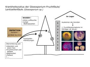 Lebenszyklus der Gloeosporium