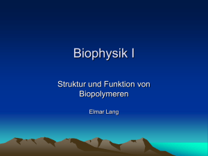 Biophysik I