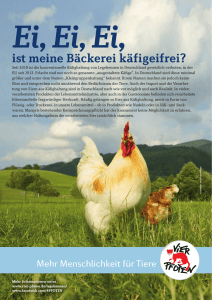Bäcker-Eier Infoblatt DE 4-15 RZ.indd