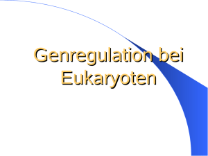 Genregulation bei Eukaryoten