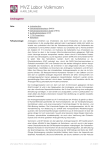 Androgene - MVZ Labor PD Dr. Volkmann und Kollegen