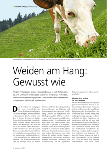 Weiden am Hang - gewusst wie (Artikel Grüne 12.06.2014)