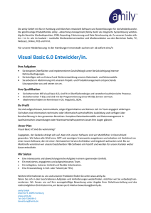 Visual Basic 6.0 Entwickler/in.