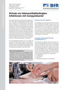 Schutz vor lebensmittelbedingten Infektionen mit Campylobacter