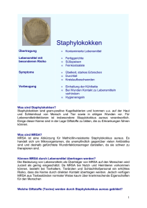 Staphylokokken - Laves