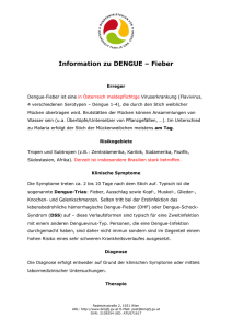 Information zu DENGUE – Fieber