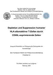 Depletion und Suppression humaner HLA-alloreaktiver T