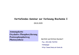 Vertiefendes Seminar zur Vorlesung Biochemie I - LIMES