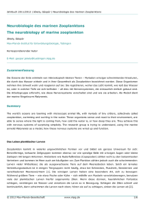 Neurobiologie des marinen Zooplanktons The neurobiology of