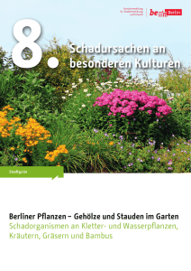 Berliner Pflanzen - Gehölze und Stauden im Garten