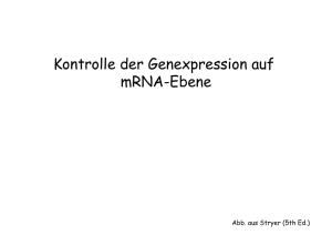 Kontrolle der Genexpression auf mRNA