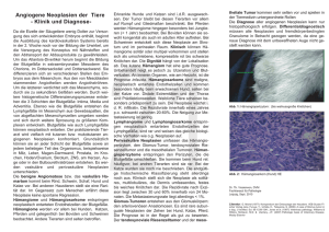 Info-Blatt 21: Angiogene Neoplasien der Tiere