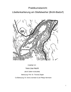 Praktikumsbericht: Libellenkartierung am Stiefelweiher (Brühl