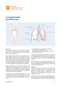 Lungenkrebs - Bronchialkarzinom