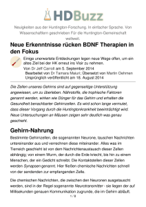 Neue Erkenntnisse rücken BDNF Therapien in den Fokus