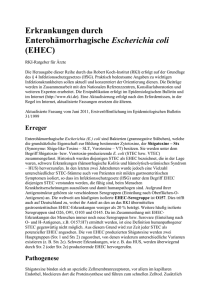 Ratgeber zu EHEC und EPEC vom Robert Koch Instititut