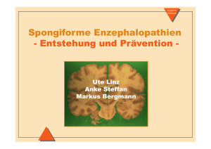Spongiforme Enzephalopathien - Entstehung und Prävention -