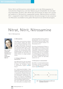 Nitrat, Nitrit, Nitrosamine