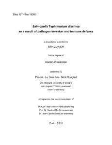 Salmonella Typhimurium diarrhea as a result of pathogen invasion