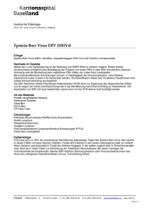 Epstein-Barr Virus EBV (HHV4)