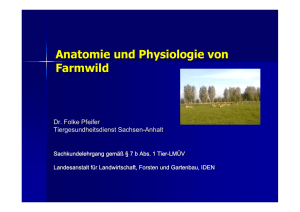 Anatomie und Physiologie von Farmwild