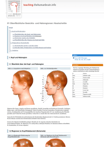 01 Oberflächliche Gesichts- und Halsregionen_ Hautschnitte