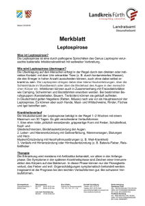 Merkblatt Leptospirose