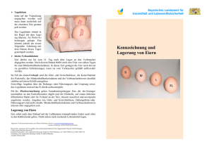 Merkblatt zur Kennzeichnung von Eiern