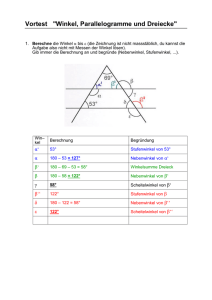 Vortest "Winkel, Parallelogramme und Dreiecke"