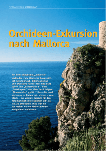 Fortbildung-2008-06-Orchideen-Exkursion-Mallorca