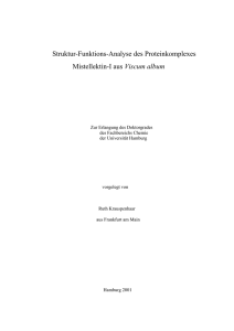 Struktur-Funktions-Analyse des Proteinkomplexes