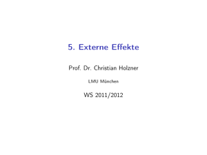 5. Externe Effekte