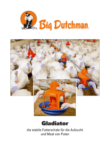 Gladiator - Big Dutchman