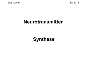 Neurotransmitter Synthese