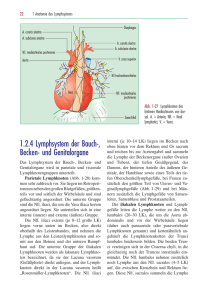 1.2.4 Lymphsystem der Bauch-, Becken- und