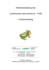 Wiederansiedlung des Laubfrosches in Braunschweig (2006)