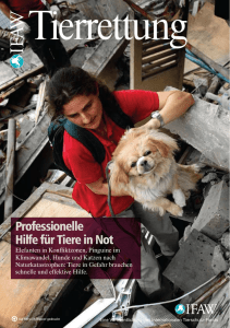 Professionelle Hilfe für Tiere in Not