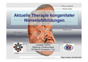 DrOswald_Aktuelle Therapie kongenitaler Nierenfehlbildungen