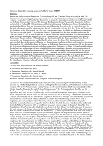Echnatons Baumeister (Auszug aus einem Artikel in Kemet 02/2009