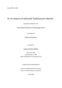 In vivo analysis of Salmonella Typhimurium - ETH E