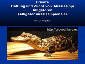 private Haltung und Zucht von Mississippi