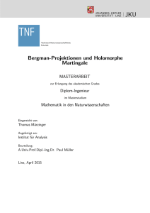 Bergman-Projektionen und Holomorphe Martingale