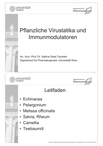 Pflanzliche Virustatika und - Österreichische Apothekerkammer