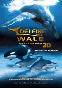 aufgabe 1 - Dolphins and Whales 3D